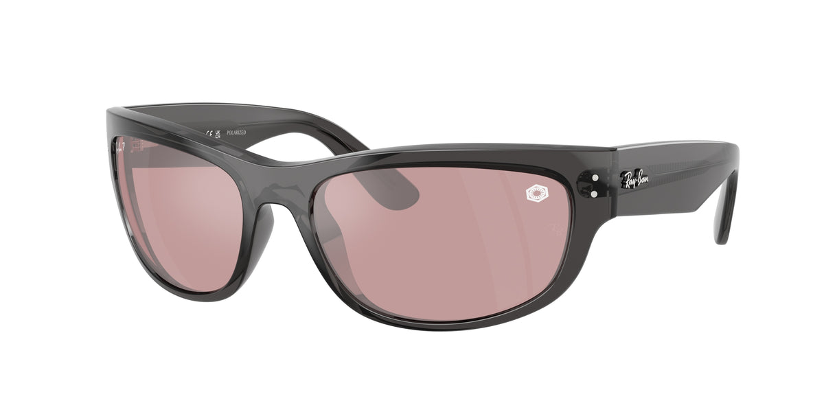 RAY-BAN 0RB2289 TRANSPARENT BLACK pillow sunglasses by RAY-BAN