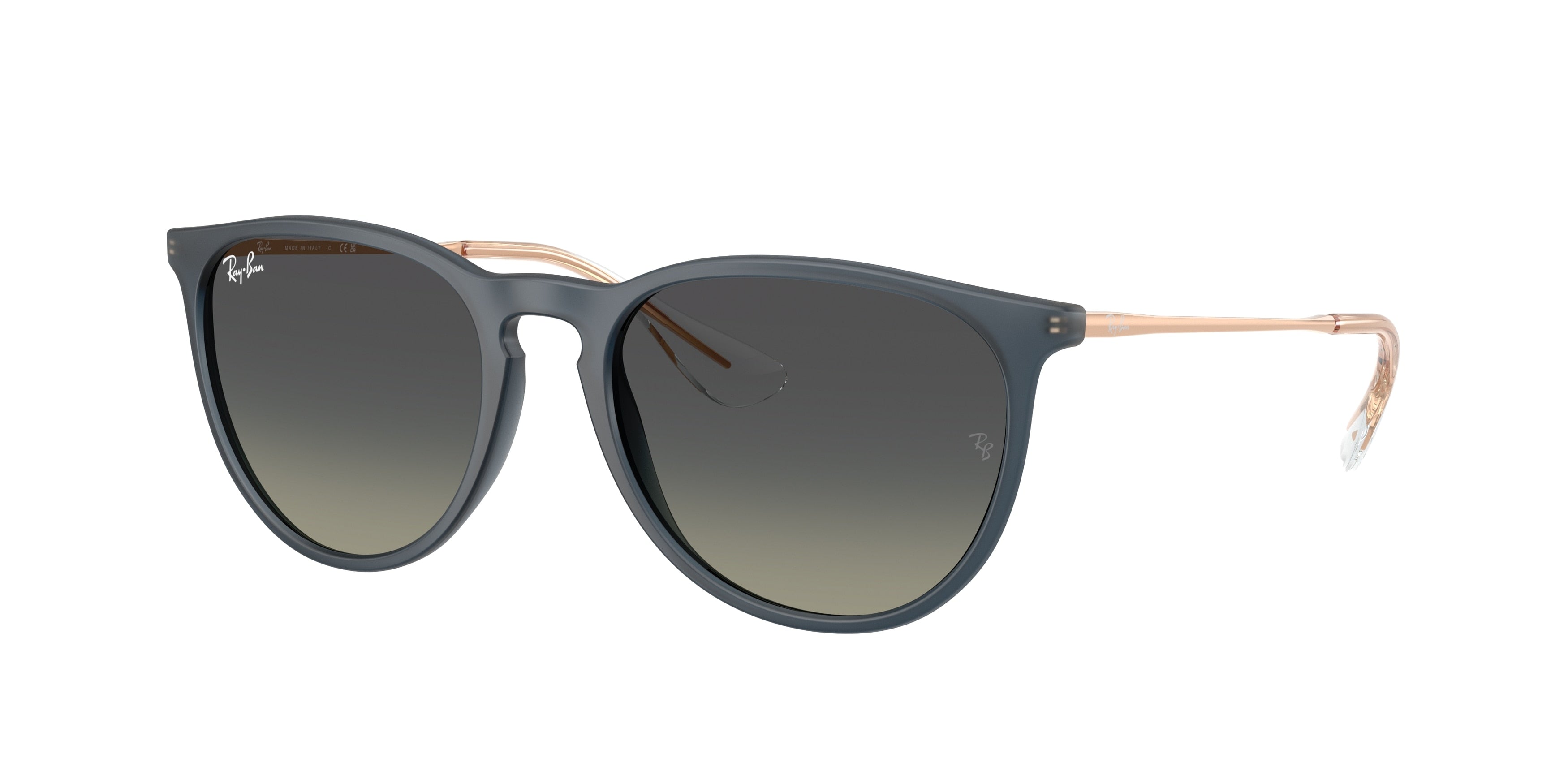 RAY-BAN 0RB4171  luxury designer eyewear
