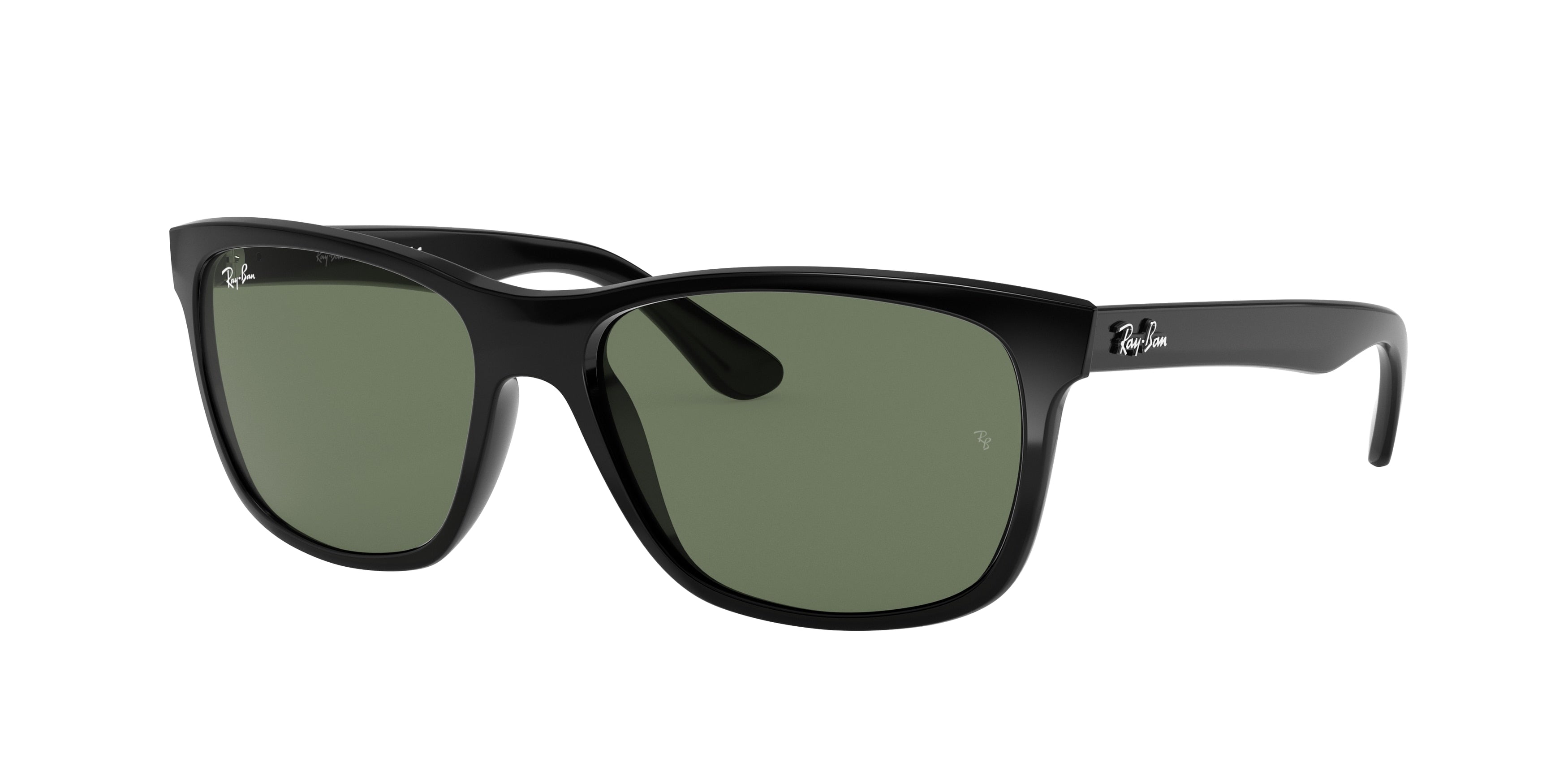 RAY-BAN 0RB4181  luxury designer eyewear