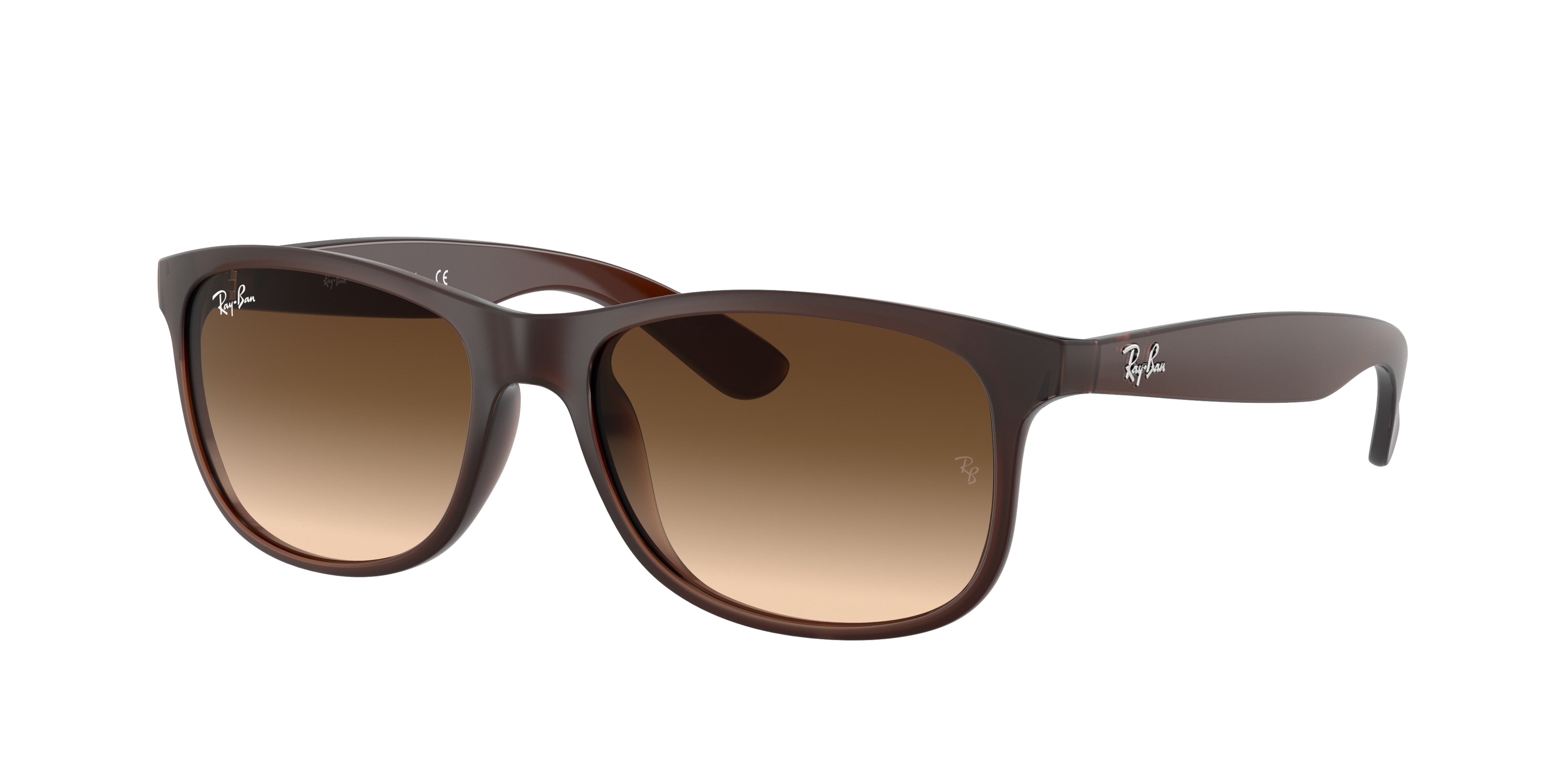 RAY-BAN 0RB4202  luxury designer eyewear