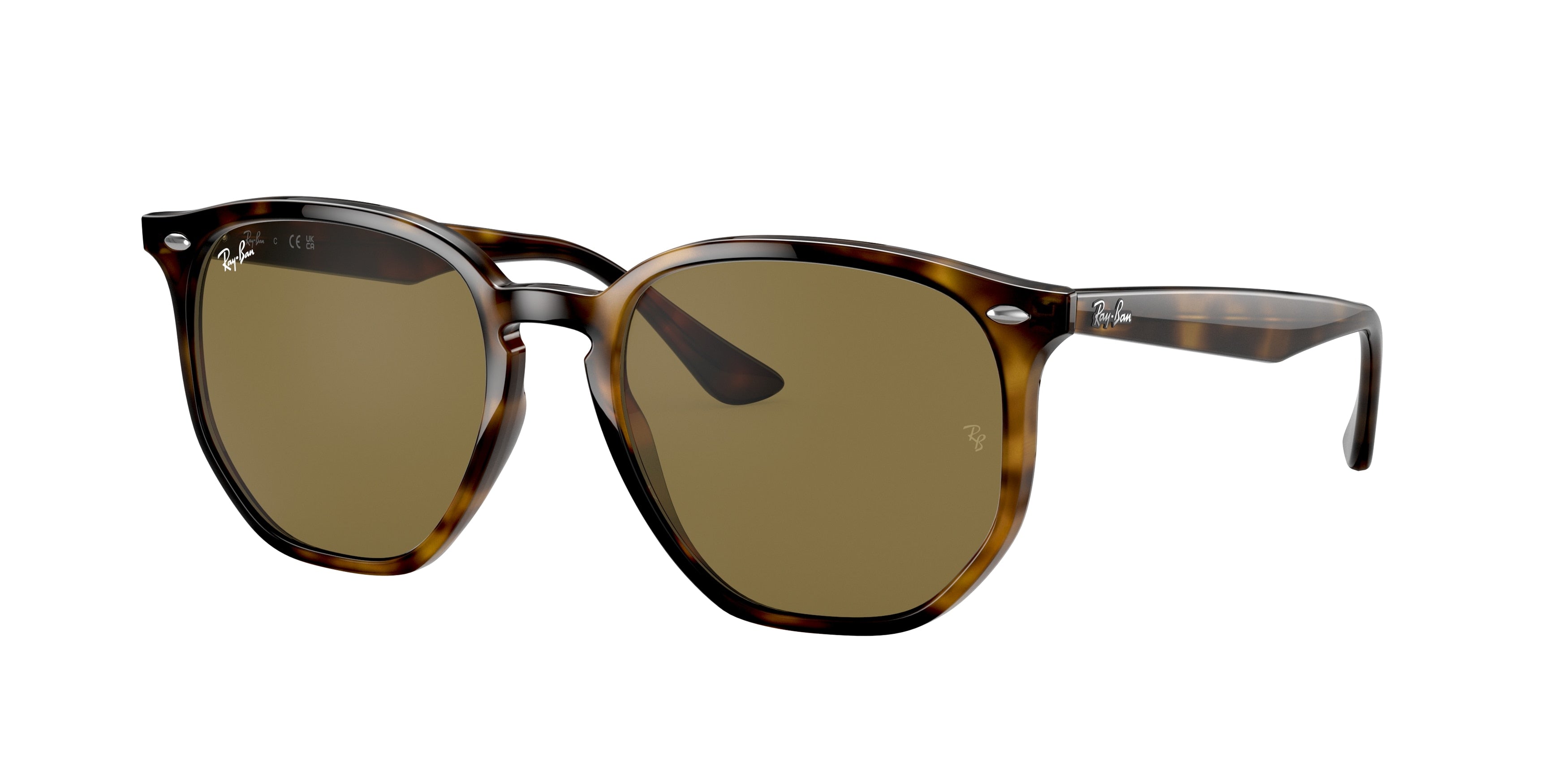 RAY-BAN 0RB4306  luxury designer eyewear