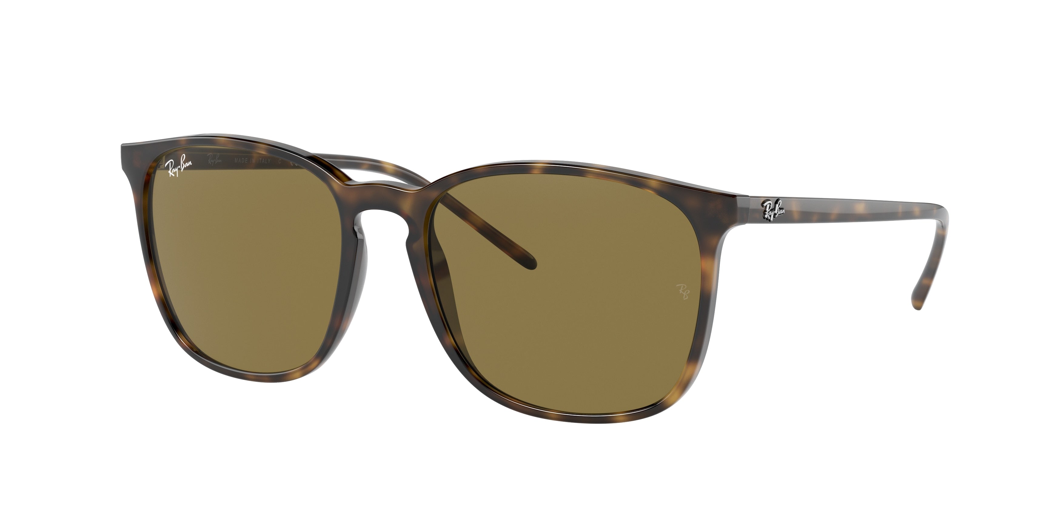 RAY-BAN 0RB4387  luxury designer eyewear