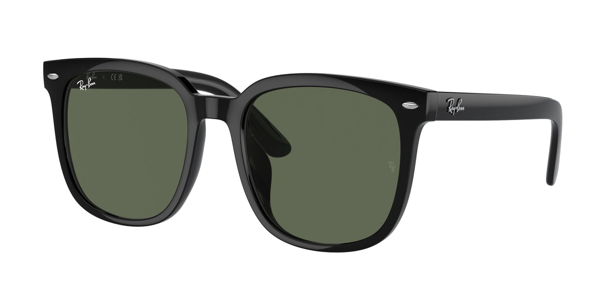 RAY-BAN 0RB4401D BLACK square sunglasses by RAY-BAN