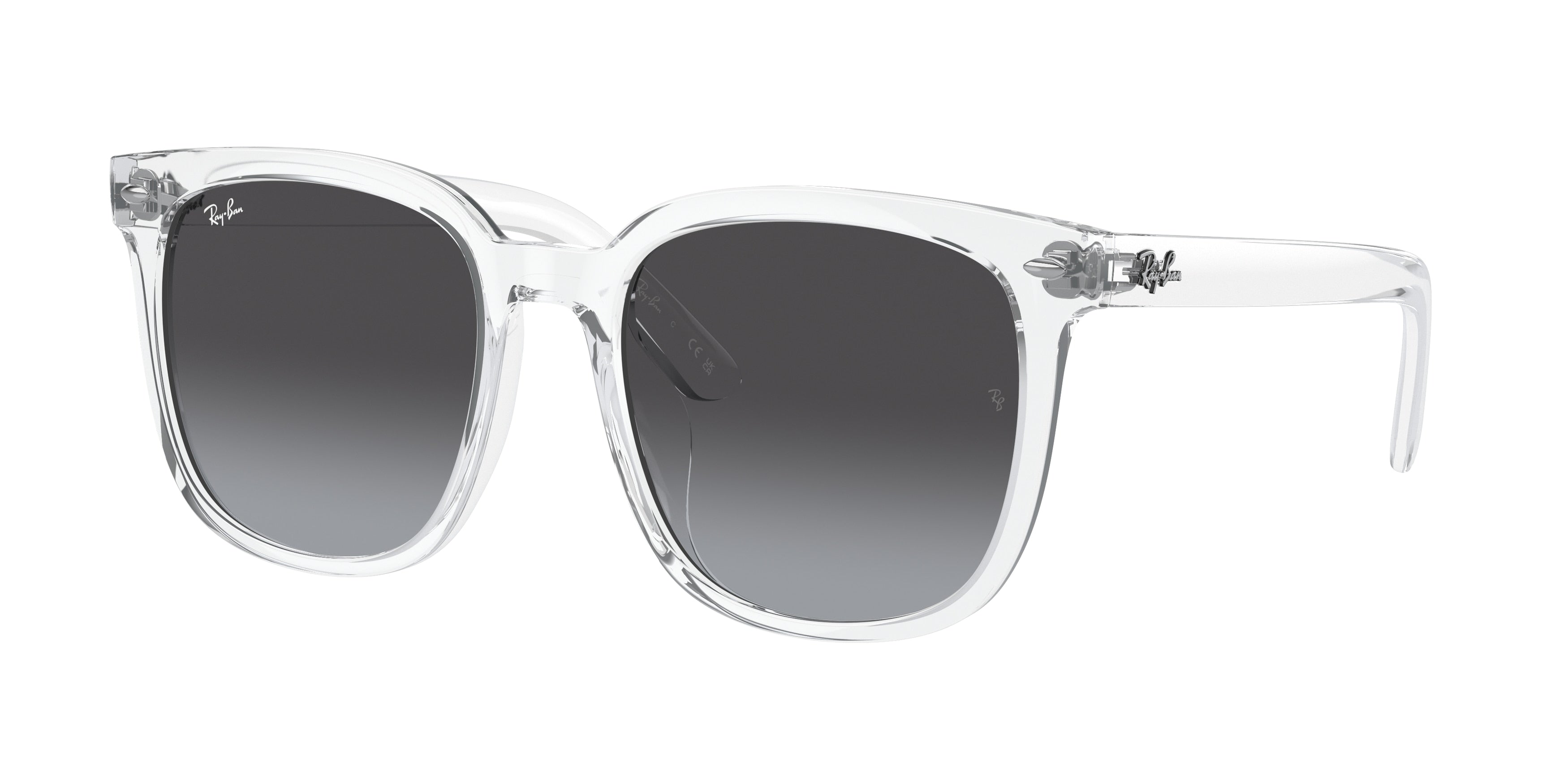 RAY-BAN 0RB4401D  luxury designer eyewear