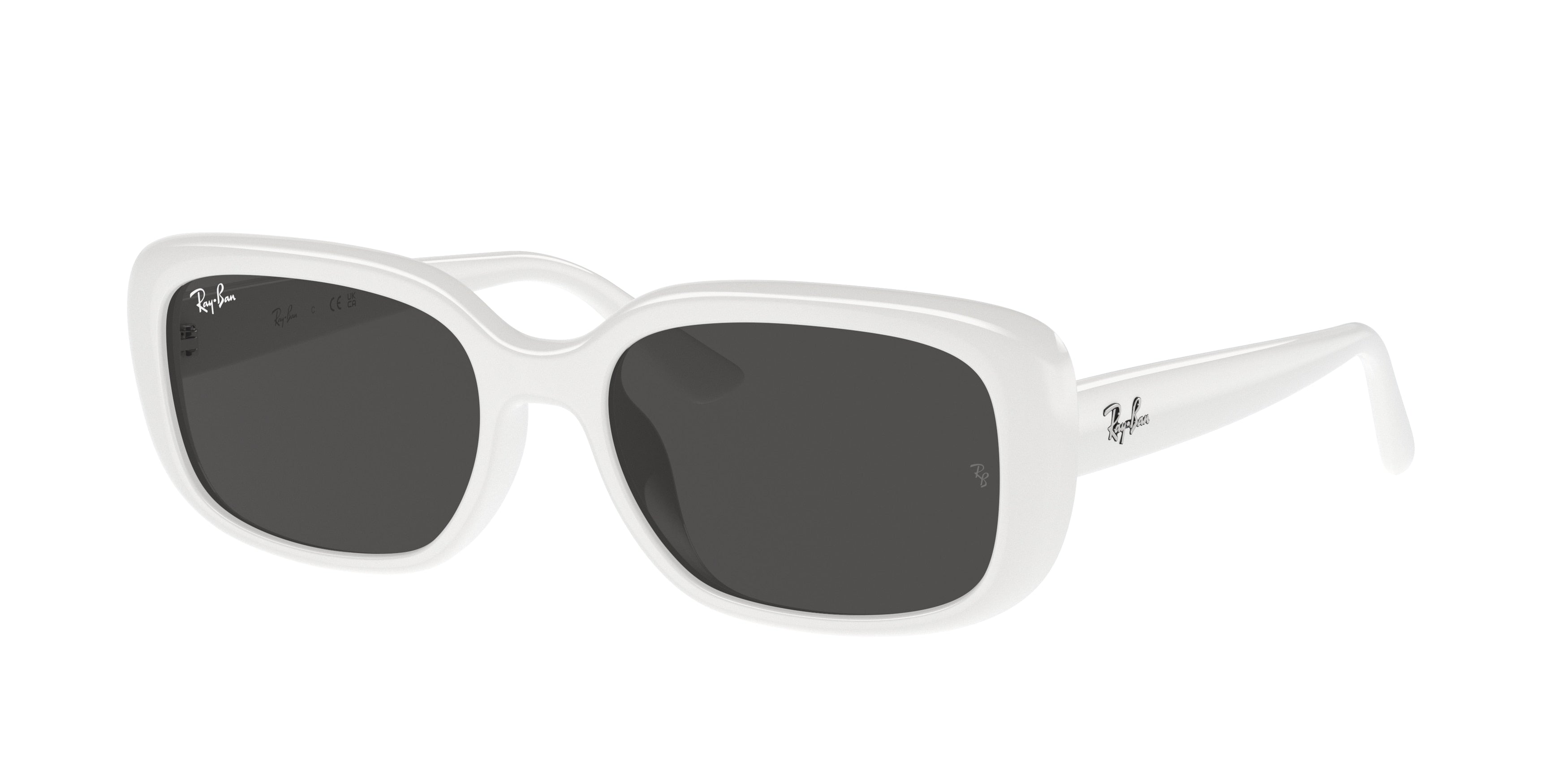 RAY-BAN 0RB4421D  luxury designer eyewear