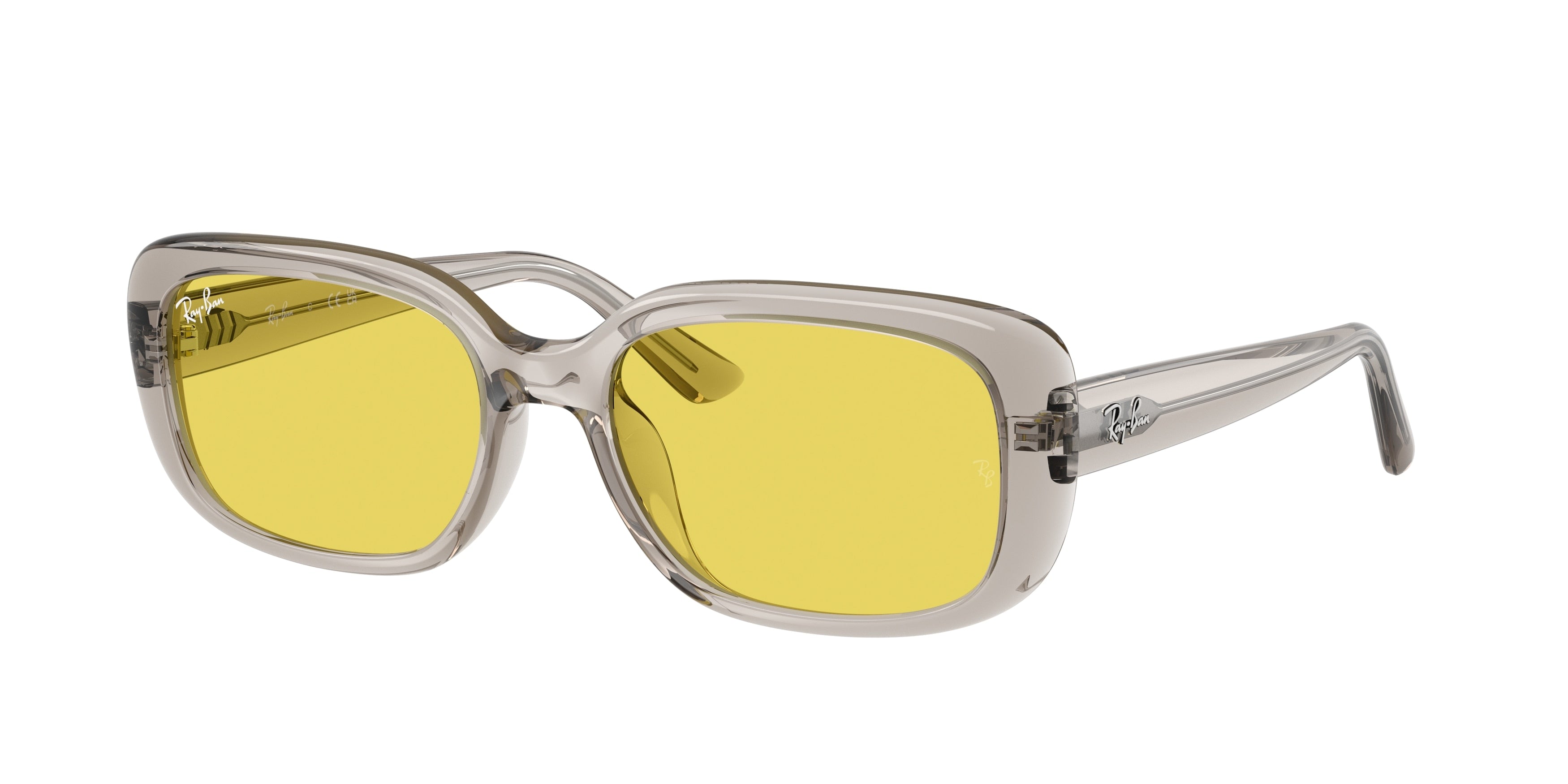 RAY-BAN 0RB4421D  luxury designer eyewear