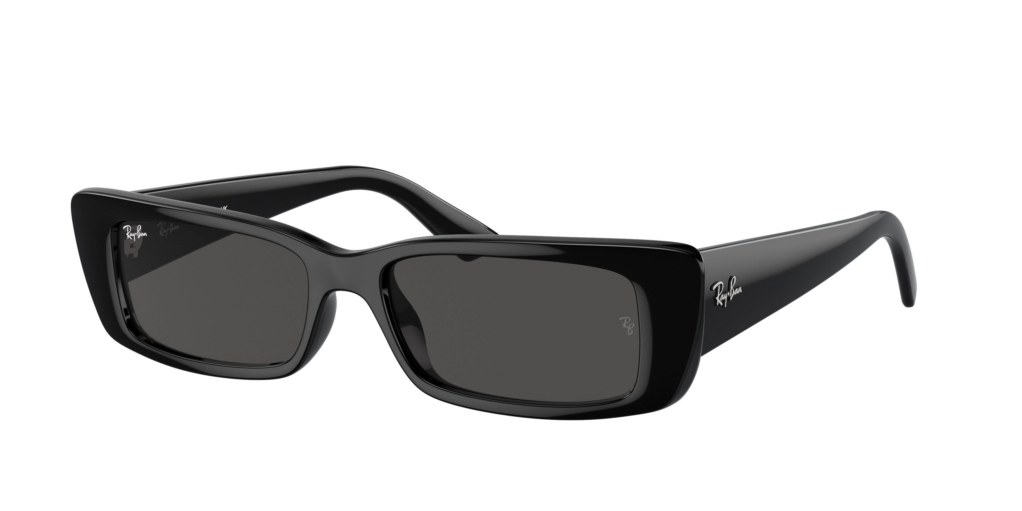 RAY-BAN 0RB4425  luxury designer eyewear