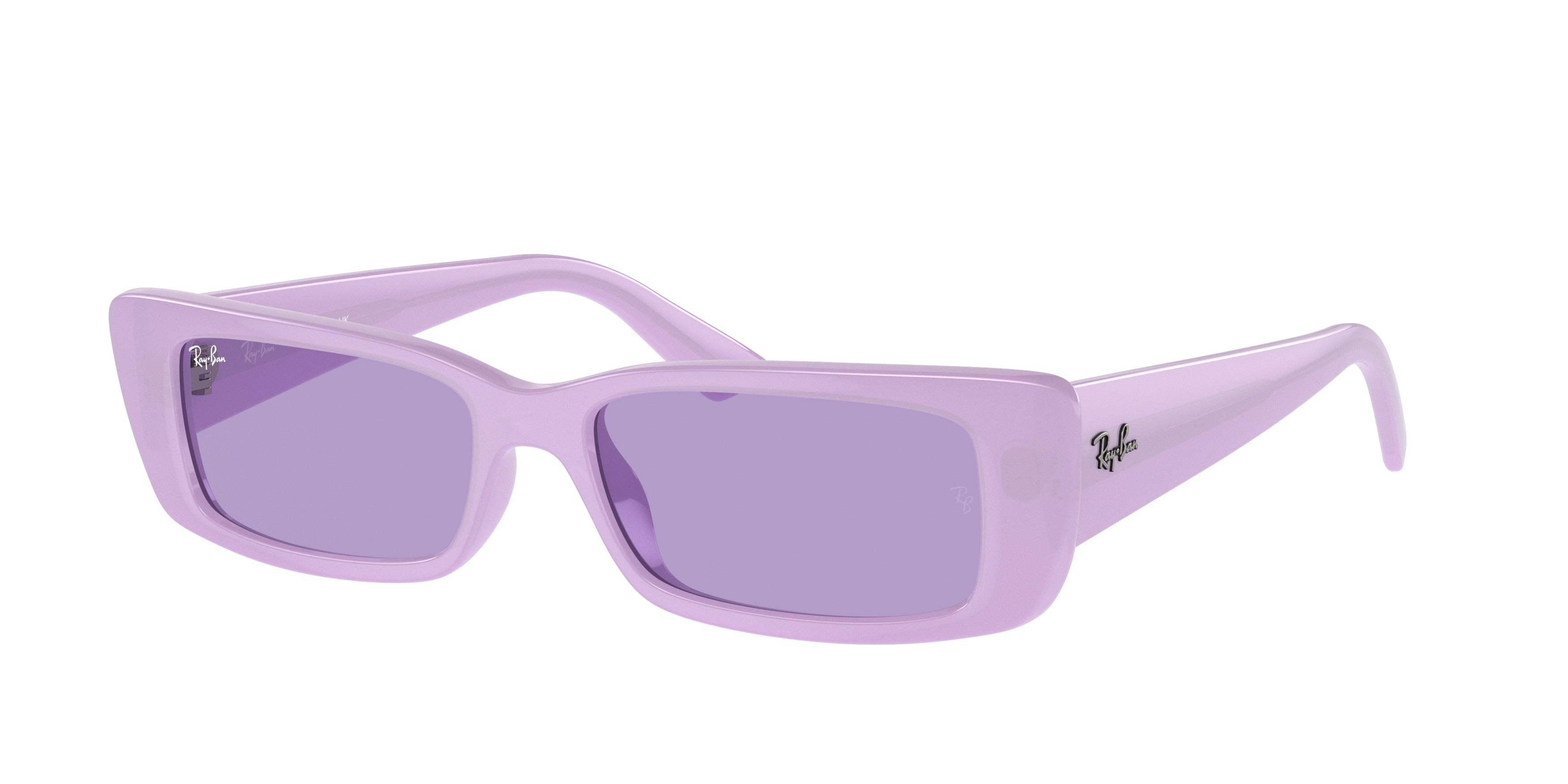 RAY-BAN 0RB4425  luxury designer eyewear