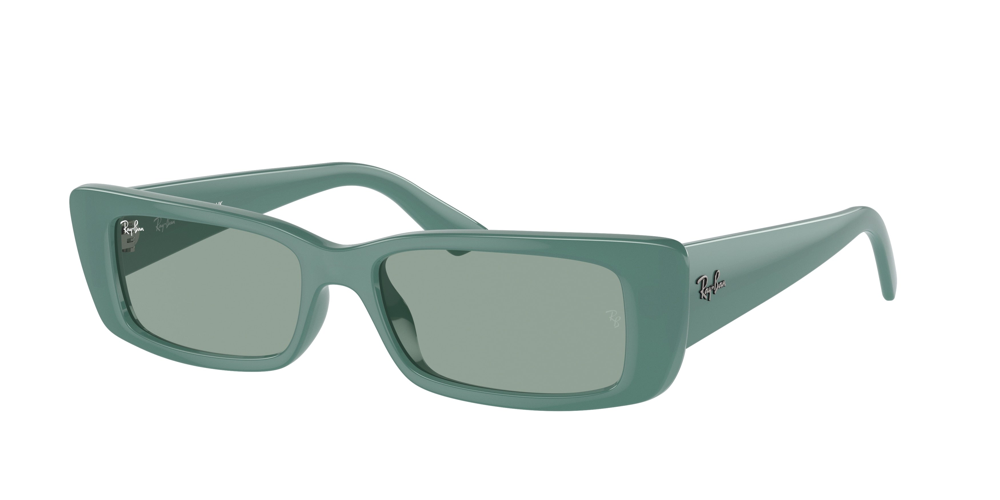 RAY-BAN 0RB4425  luxury designer eyewear