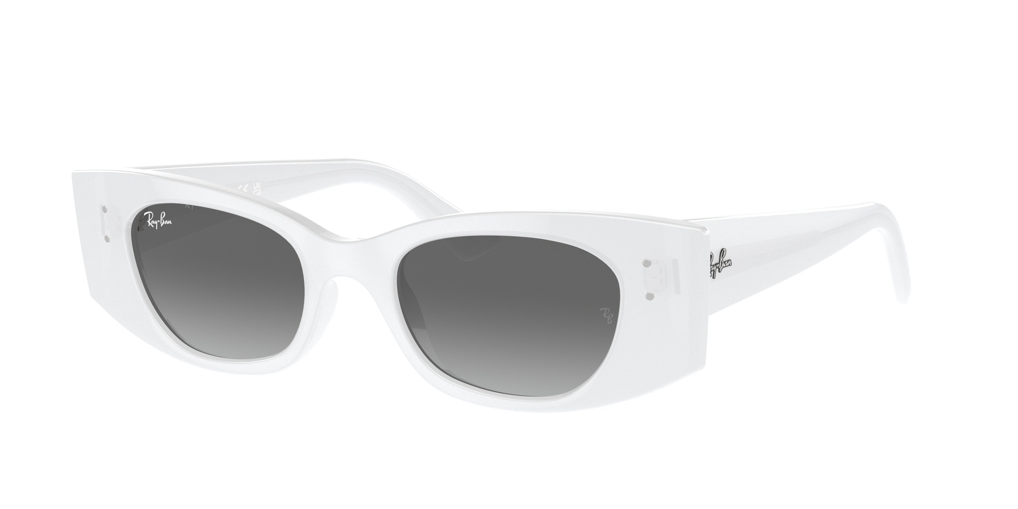 RAY-BAN 0RB4427  luxury designer eyewear