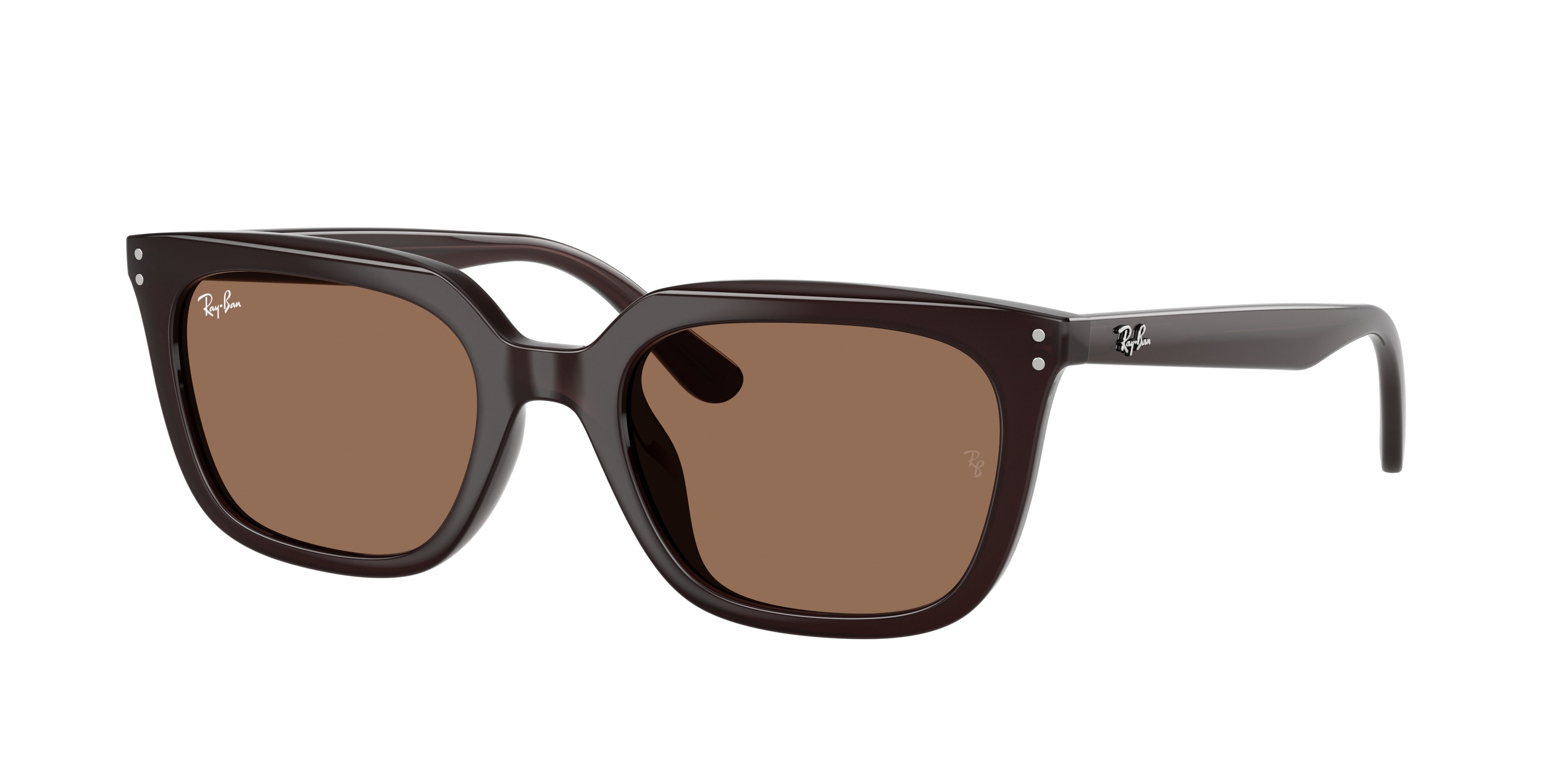 RAY-BAN 0RB4439D  luxury designer eyewear