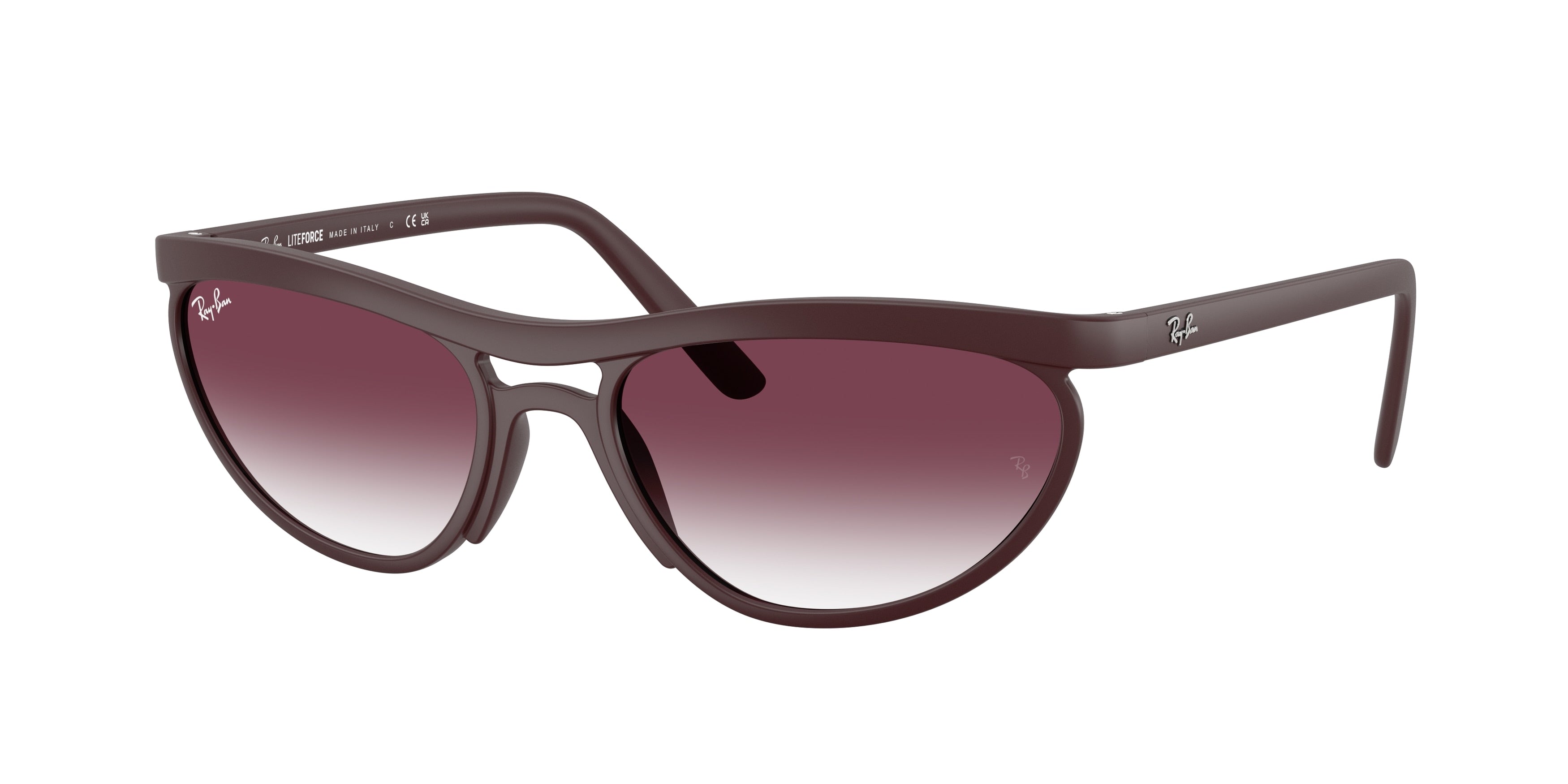 RAY-BAN 0RB4453  luxury designer eyewear