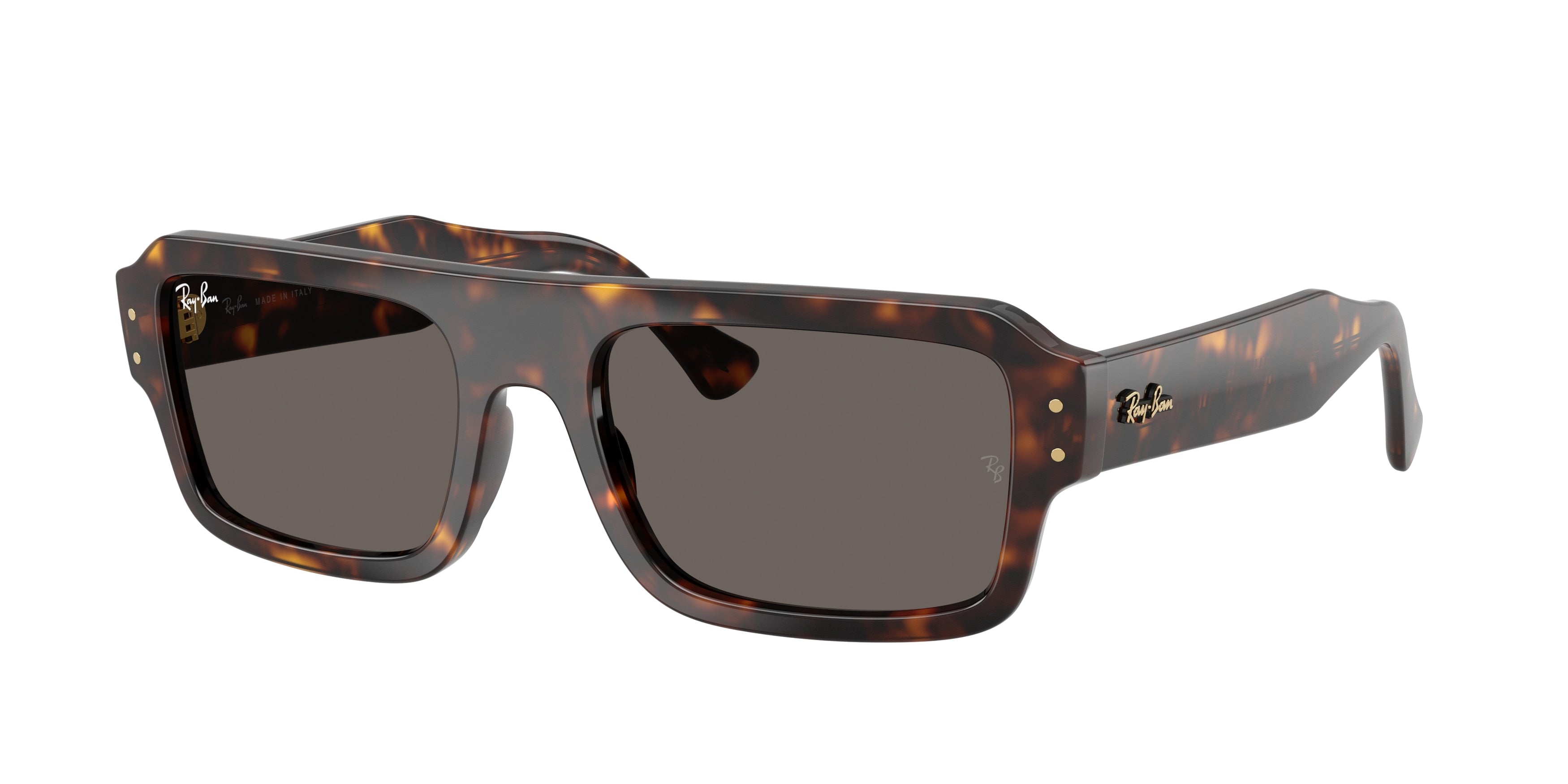 RAY-BAN 0RB4454  luxury designer eyewear