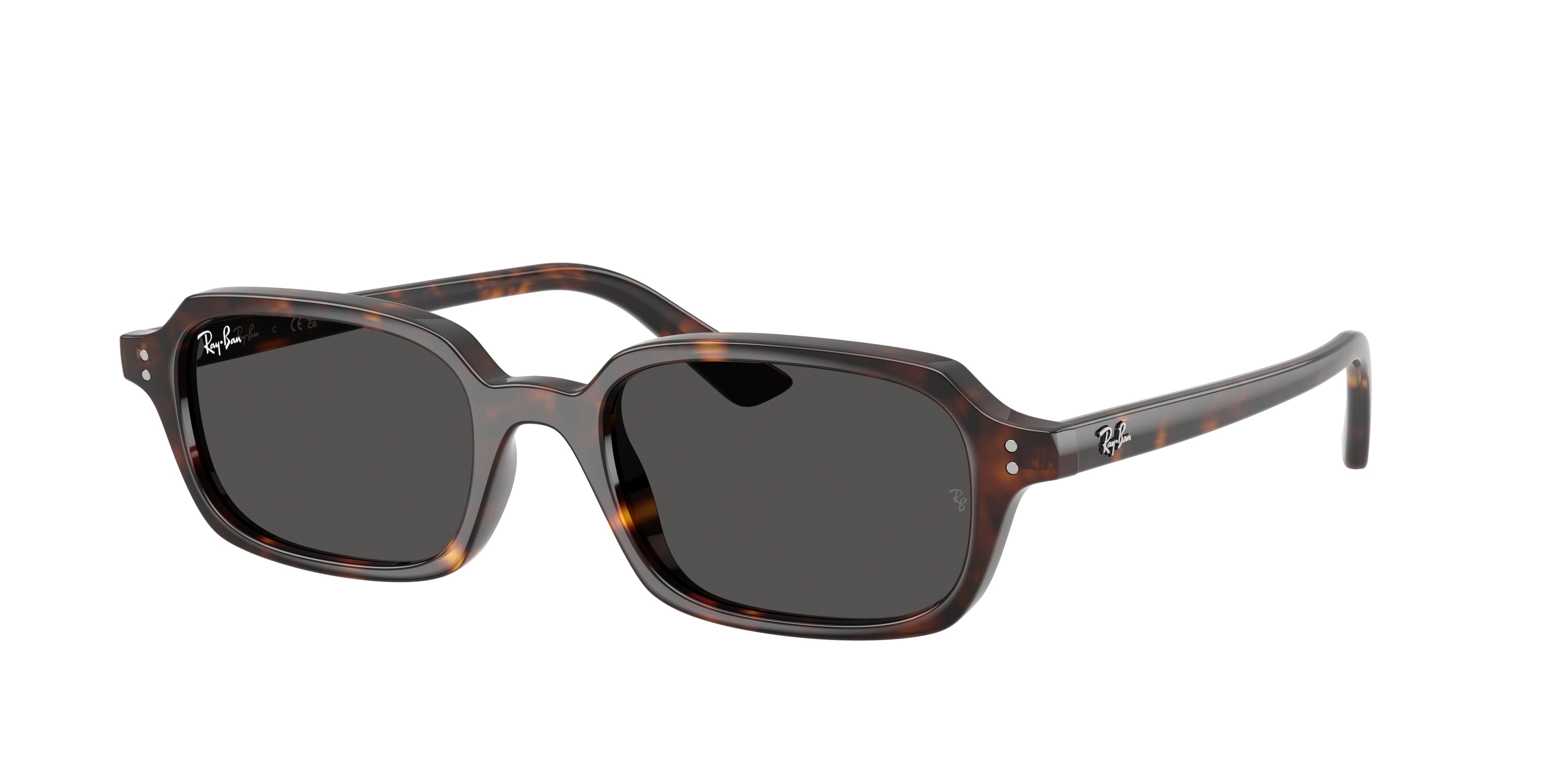 RAY-BAN 0RB4455  luxury designer eyewear
