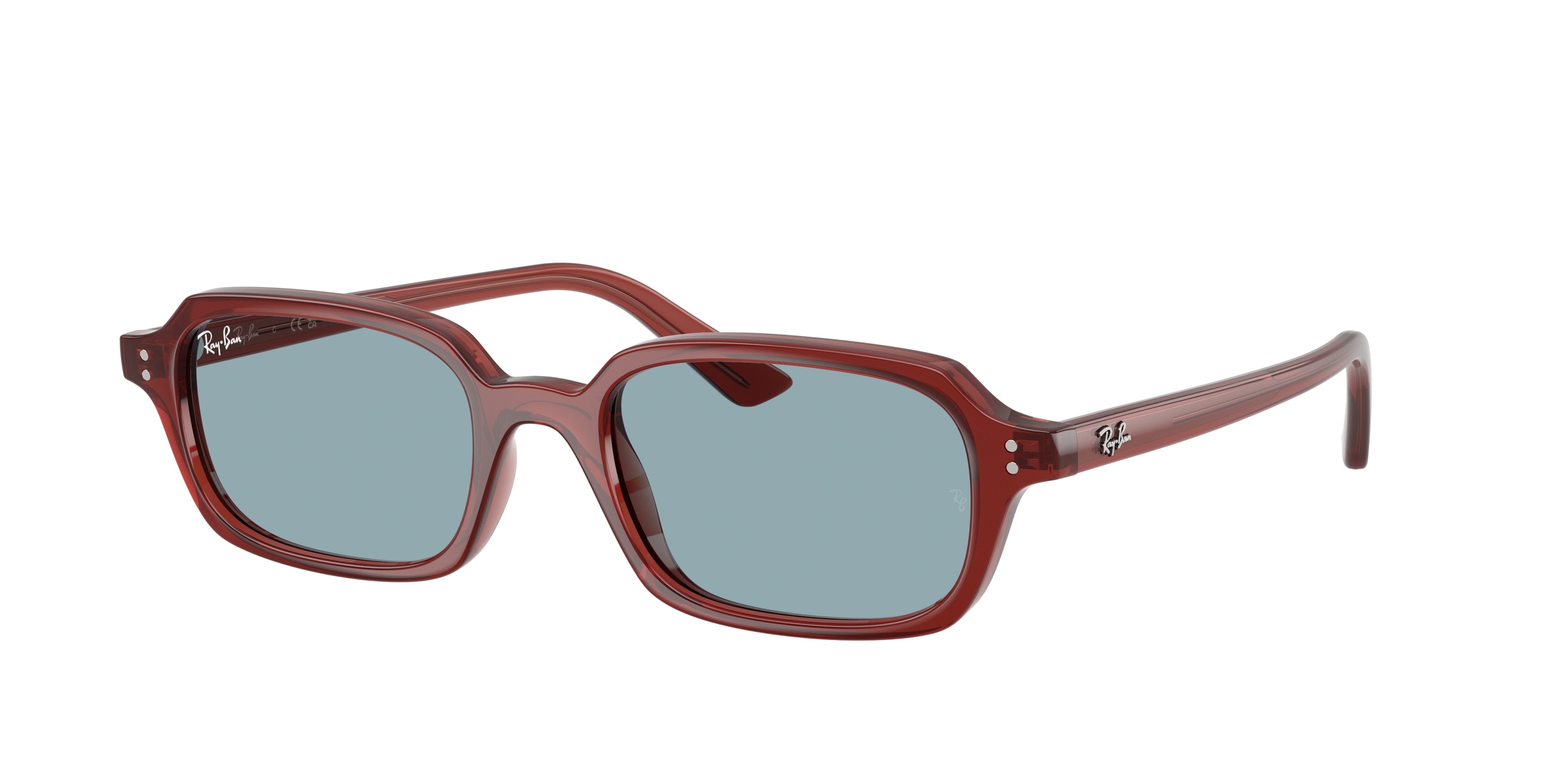 RAY-BAN 0RB4455  luxury designer eyewear