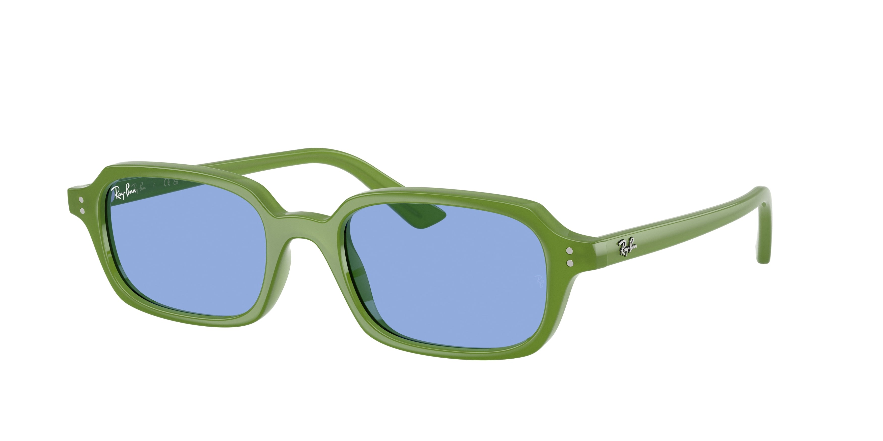 RAY-BAN 0RB4455  luxury designer eyewear