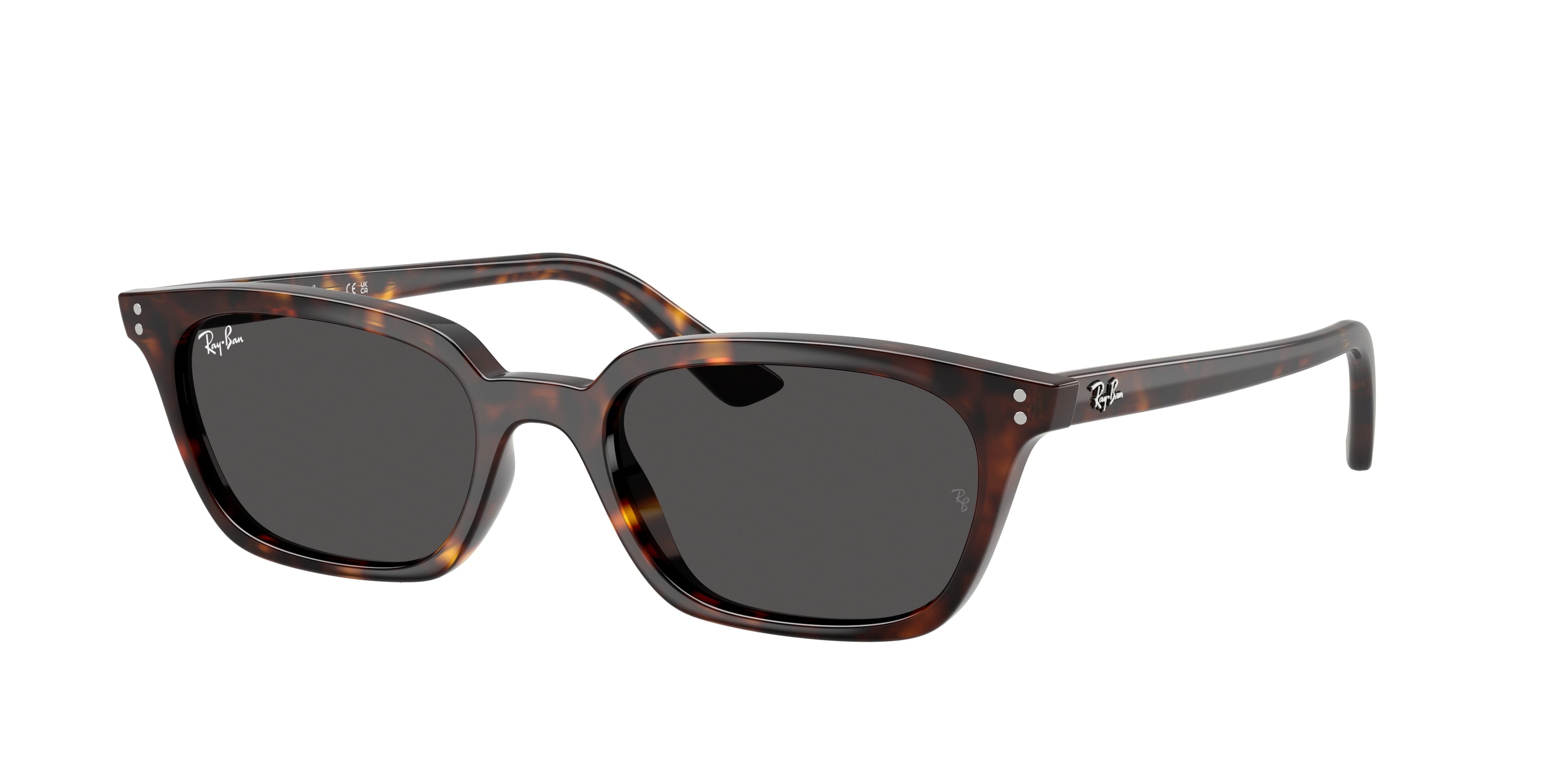 RAY-BAN 0RB4456  luxury designer eyewear