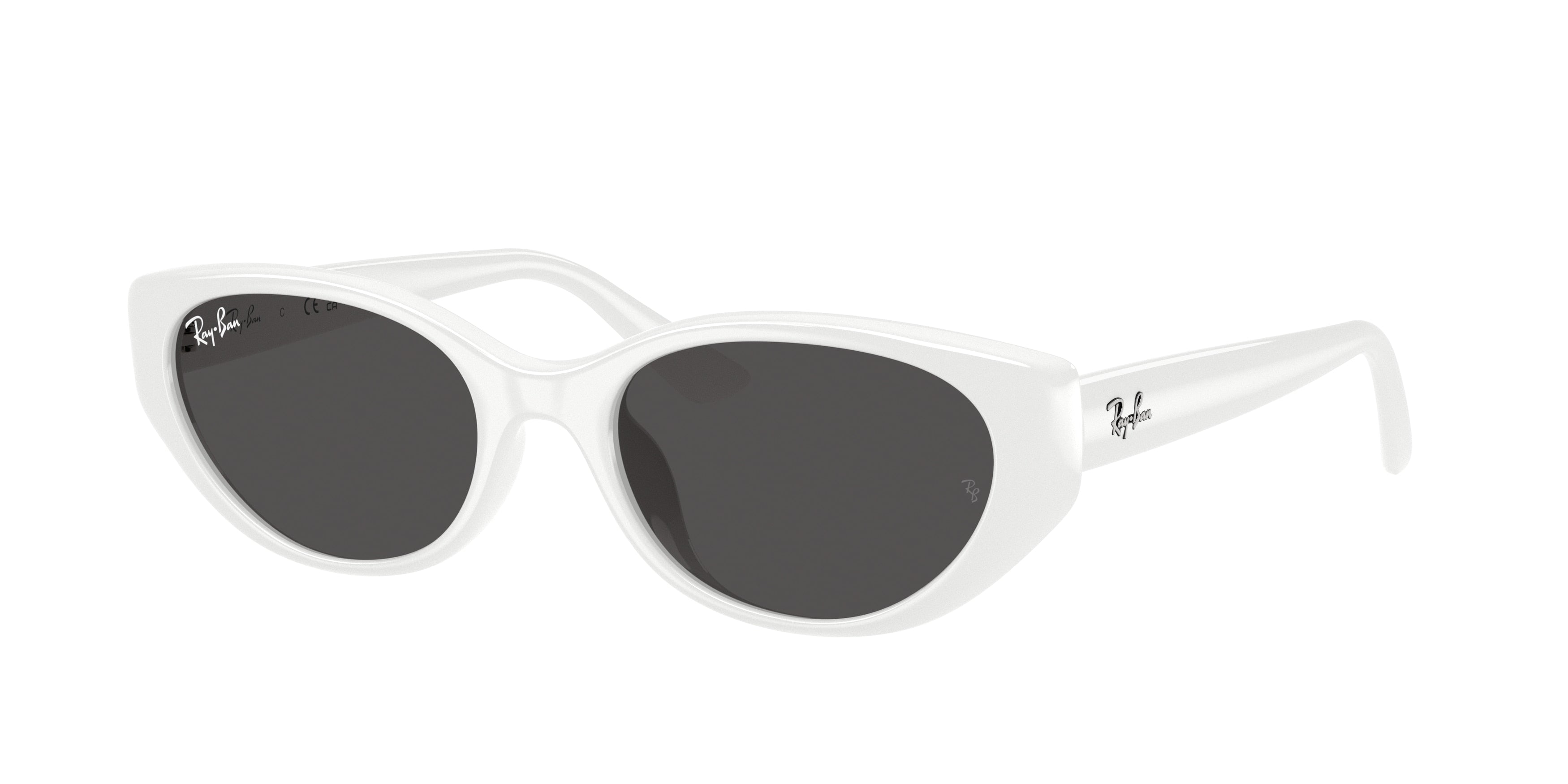 RAY-BAN 0RB4457D  luxury designer eyewear