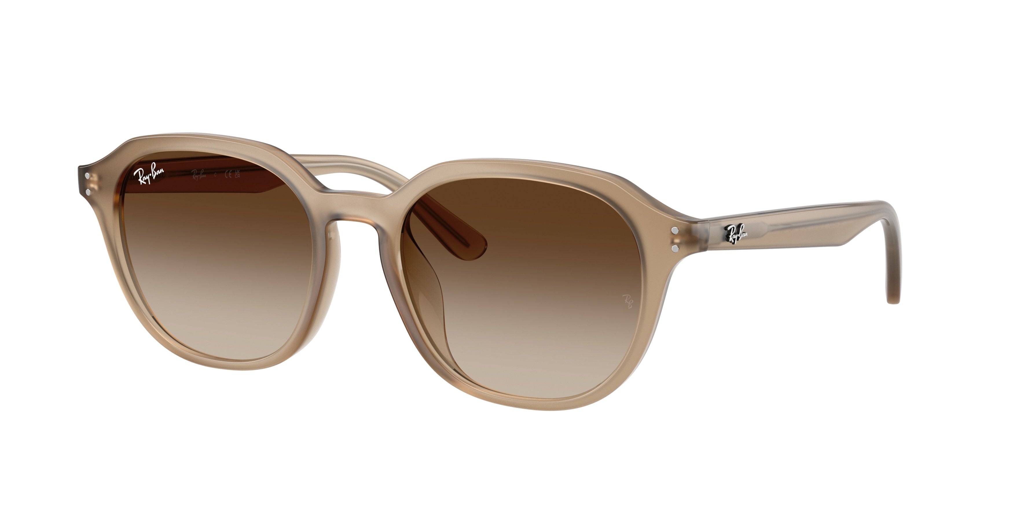 RAY-BAN 0RB4459D  luxury designer eyewear