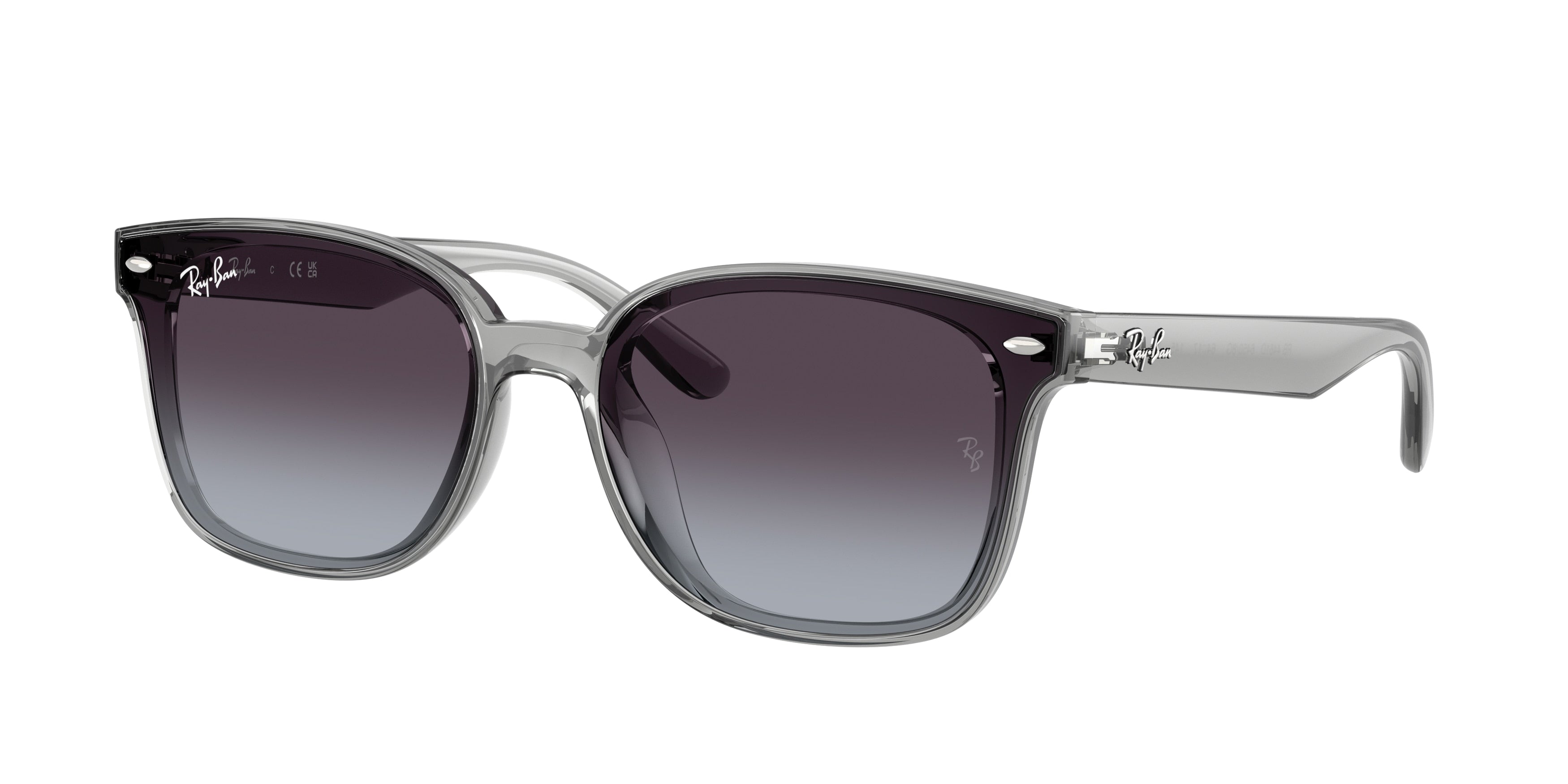 RAY-BAN 0RB4461D  luxury designer eyewear