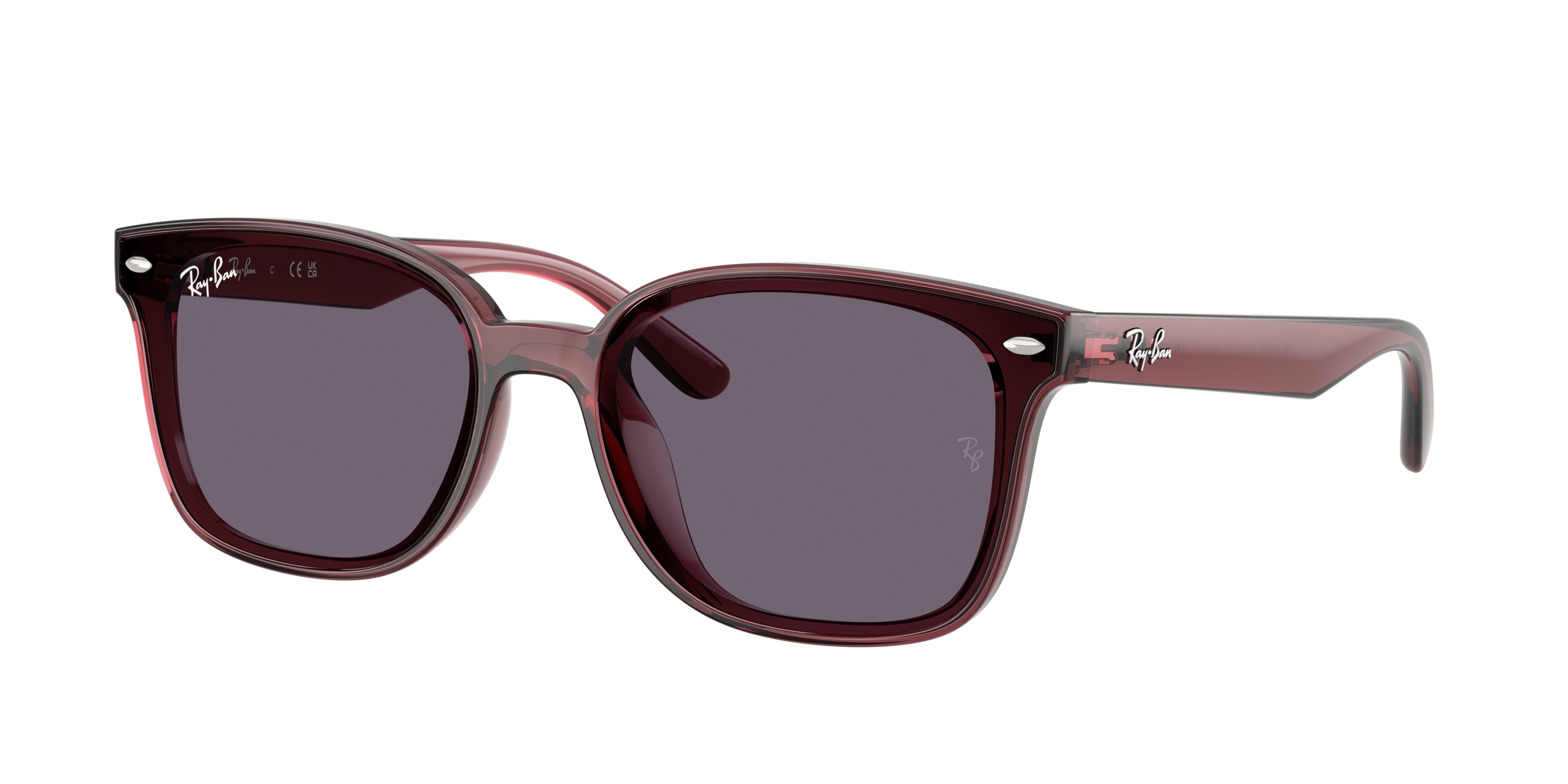 RAY-BAN 0RB4461D  luxury designer eyewear