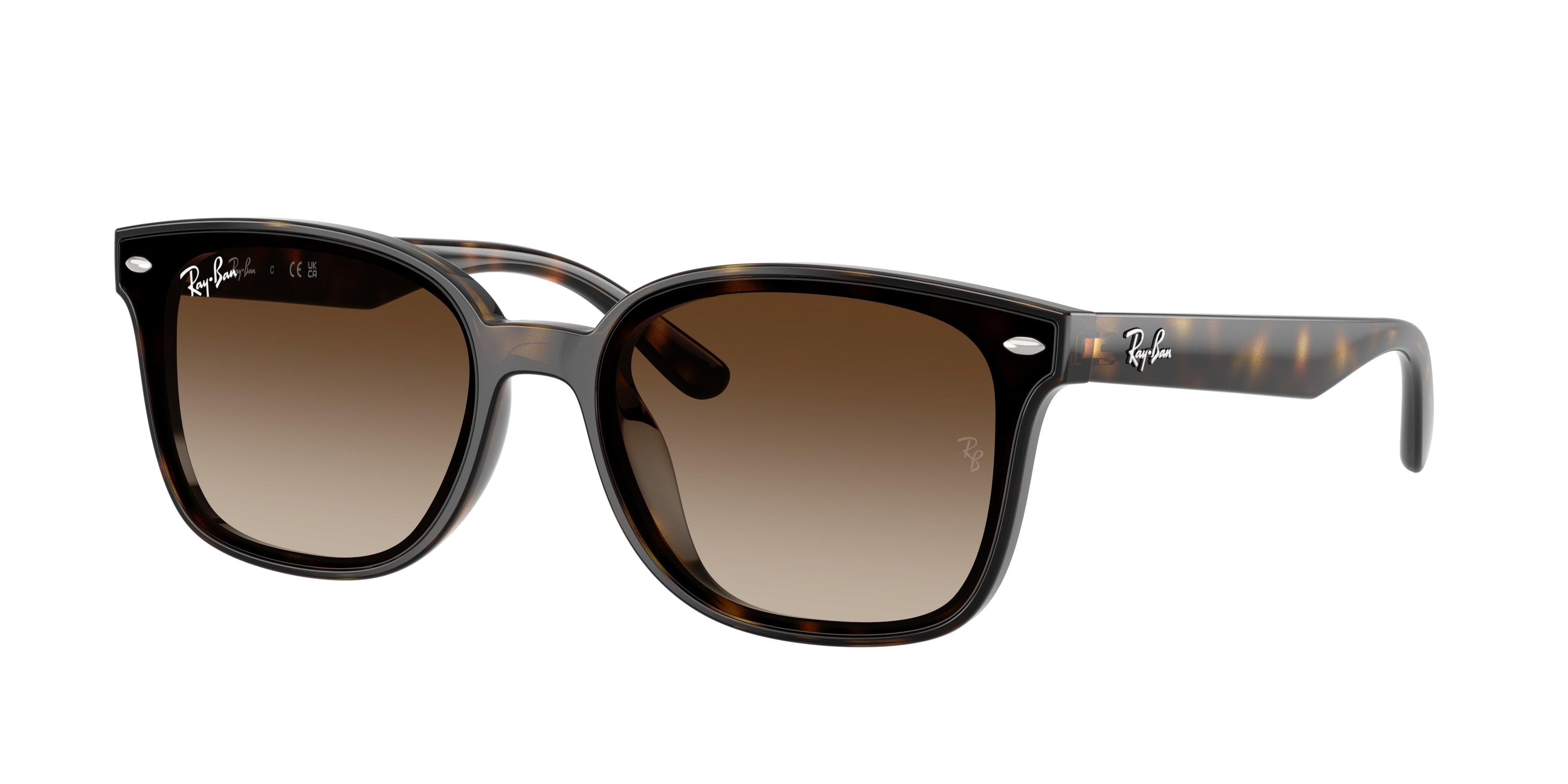 RAY-BAN 0RB4461D  luxury designer eyewear