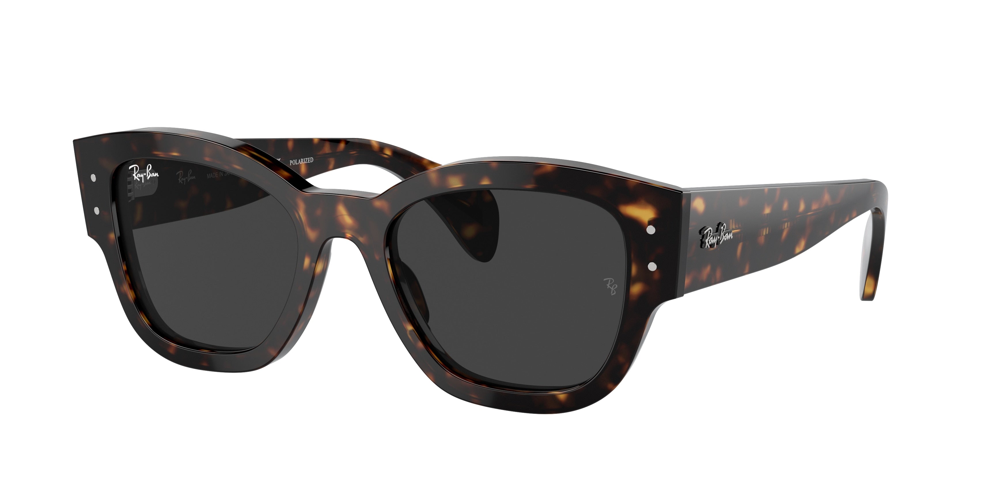 RAY-BAN 0RB7681S  luxury designer eyewear
