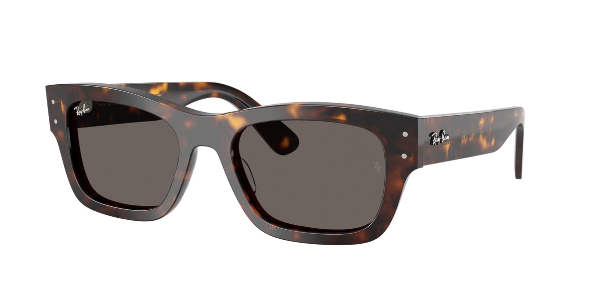 RAY-BAN 0RB7683S HAVANA rectangle sunglasses by RAY-BAN