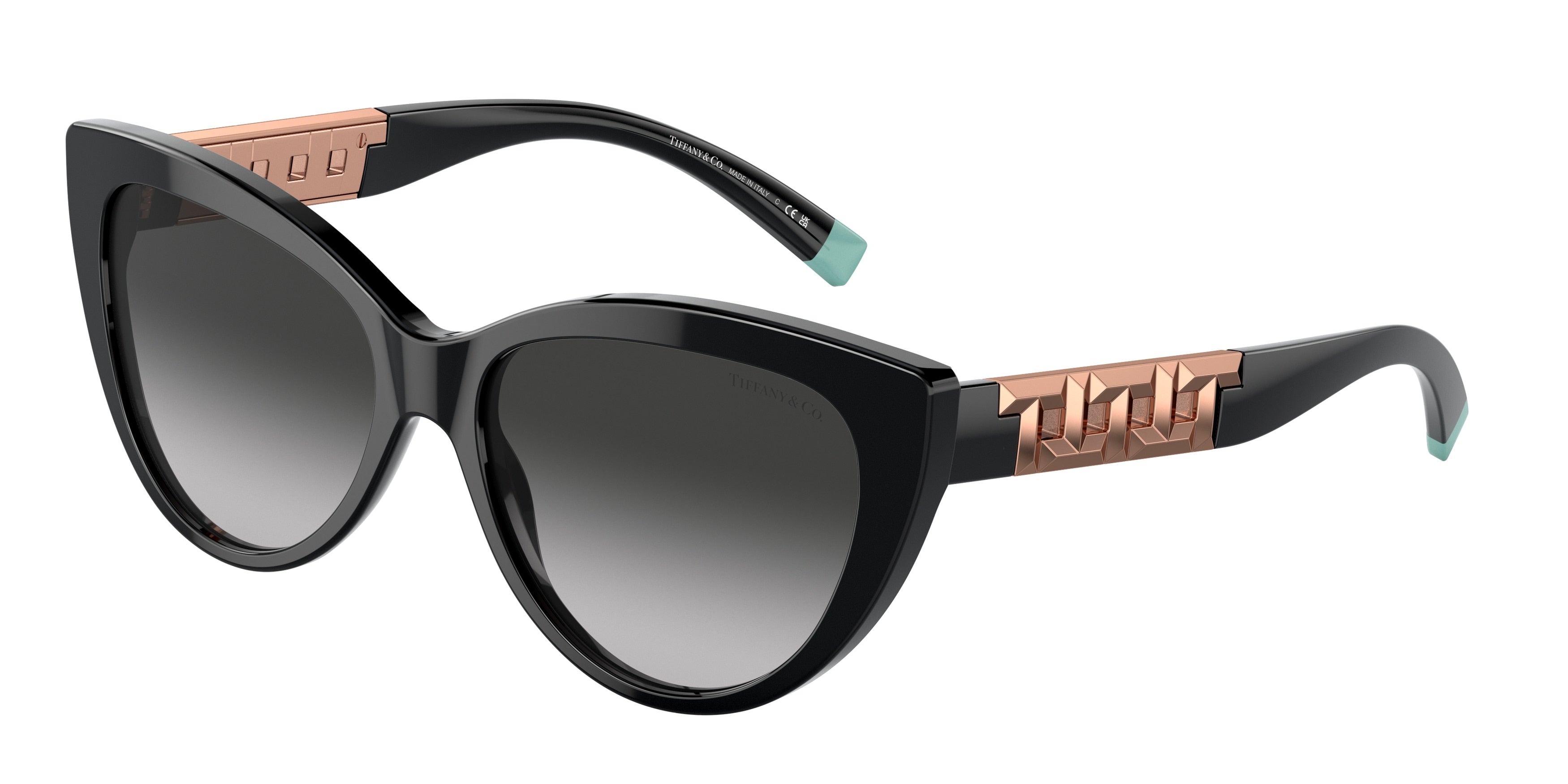 TIFFANY 0TF4196  luxury designer eyewear
