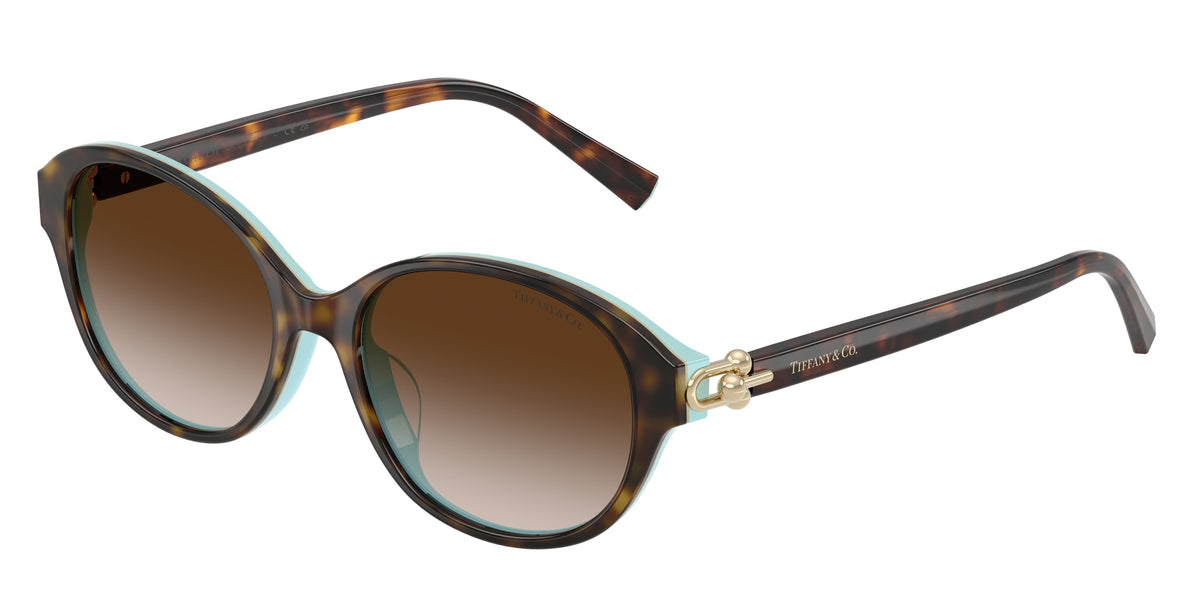 TIFFANY 0TF4263D HAVANA ON TIFFANY BLUE round sunglasses by TIFFANY